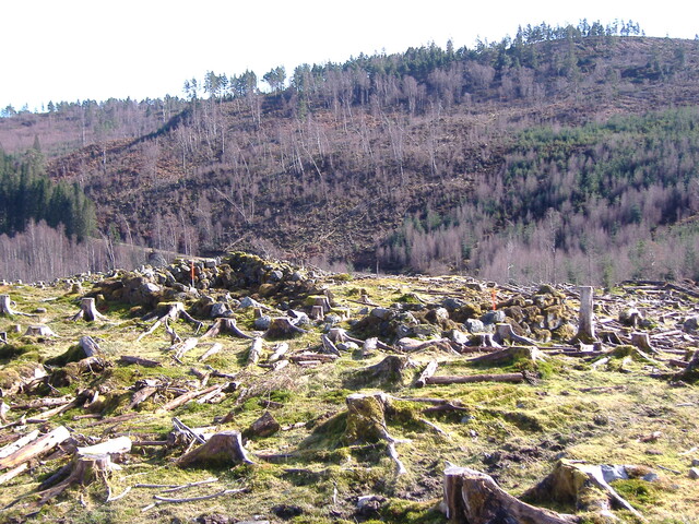 DSCF0645.JPG