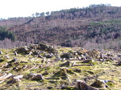 DSCF0645.JPG