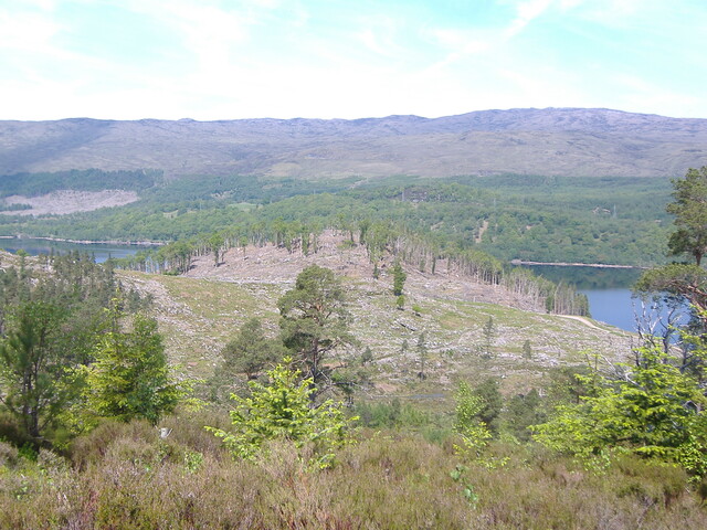 DSCF0715.JPG