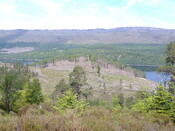 DSCF0715.JPG