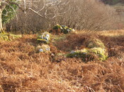 LF.2010.7.JPG
