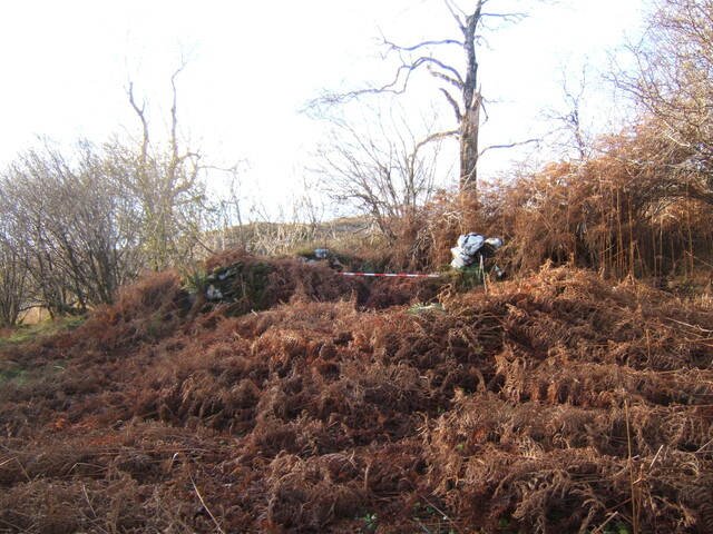 LF.2010.12.1.JPG