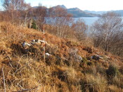 LF.2010.15.JPG