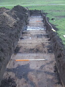 2007_01040011.JPG