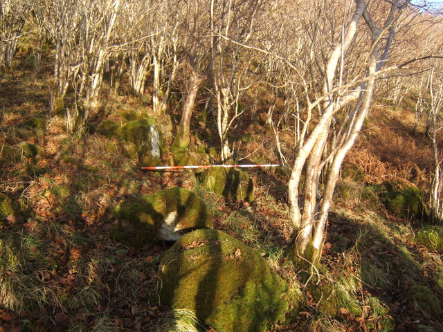 LF.2010.18.JPG