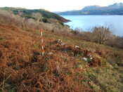 LF.2010.19.2.JPG