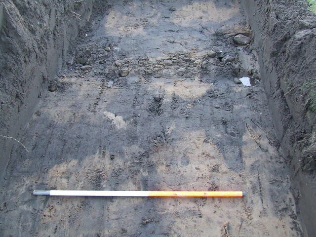 2007_01040015.JPG
