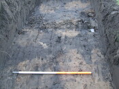 2007_01040015.JPG