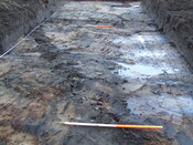 2007_01040021.JPG