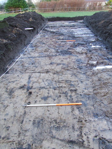 2007_01040023.JPG
