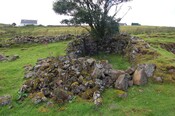 photo1.jpg