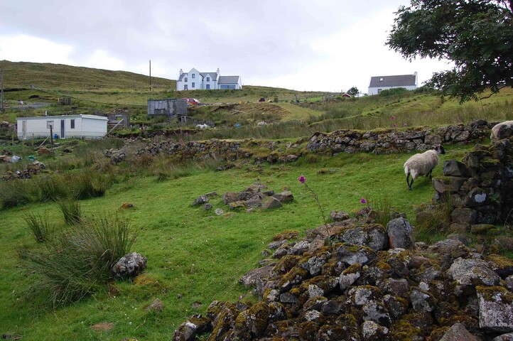 photo11.jpg