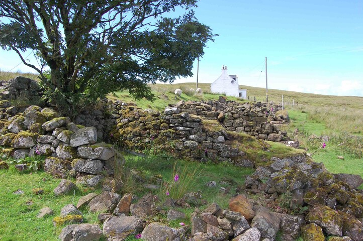 photo2.jpg