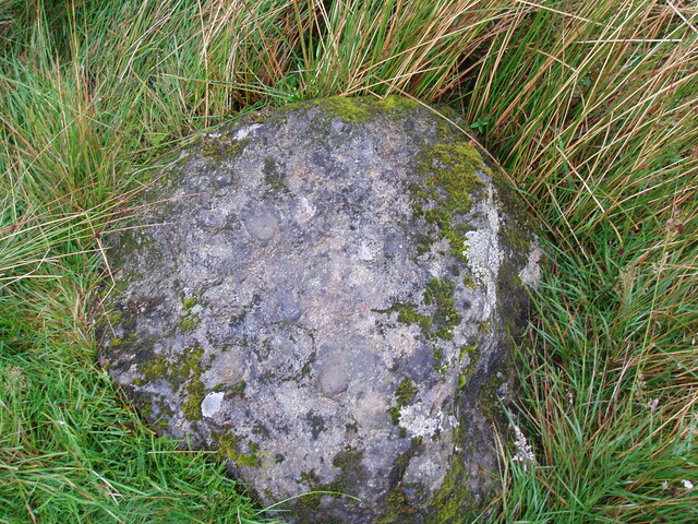 250694 860995 cupmarked stone 2.JPG