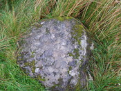 250694 860995 cupmarked stone 2.JPG