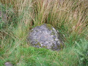 250694 860995 cupmarked stone.JPG