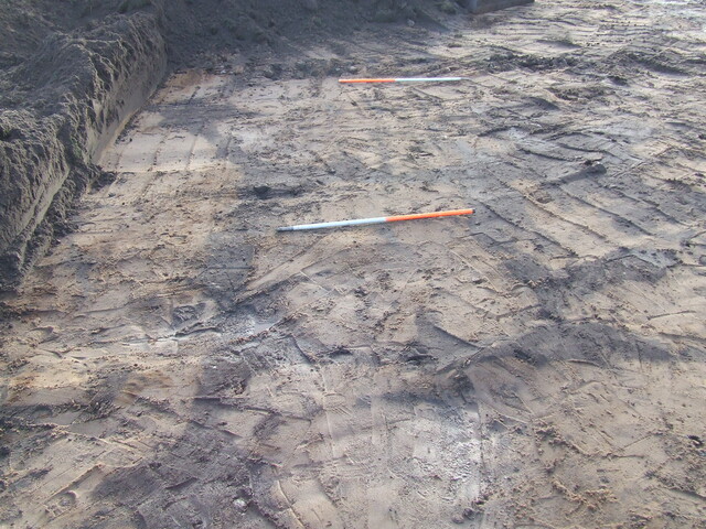 2007_01040026.JPG