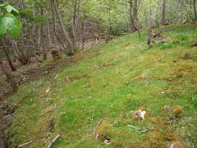 MHG10900 Dunrobin cist 1.JPG