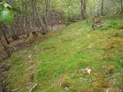 MHG10900 Dunrobin cist 1.JPG