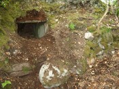 MHG10900 Dunrobin cist 2.JPG