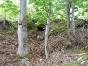 MHG10900 Dunrobin cist 4.JPG