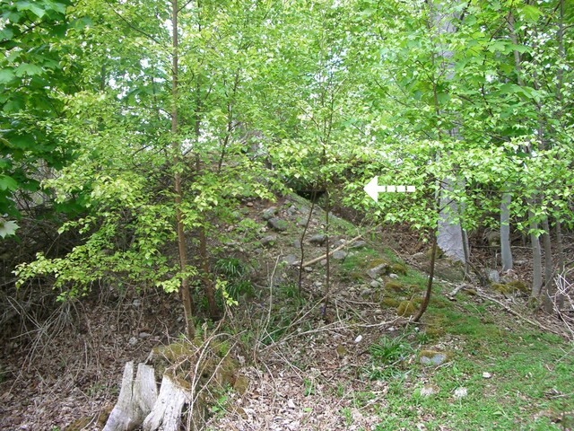MHG10900 Dunrobin cist 5.JPG