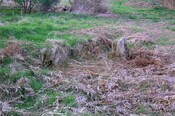 MHG40913 Priests Sepulchre Evanton 1.JPG