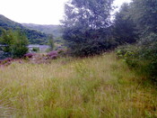 Atc Hut Photographic Record Picture 3.jpg