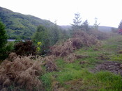 Atc Hut Photographic Record Picture 30.jpg