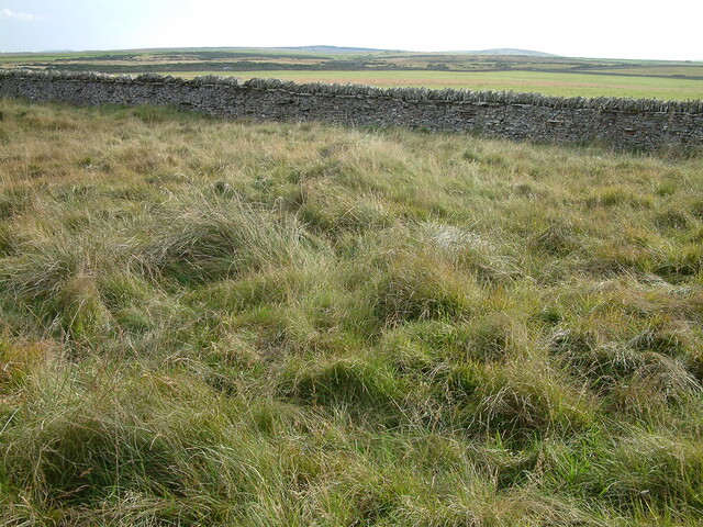 boundary2.JPG
