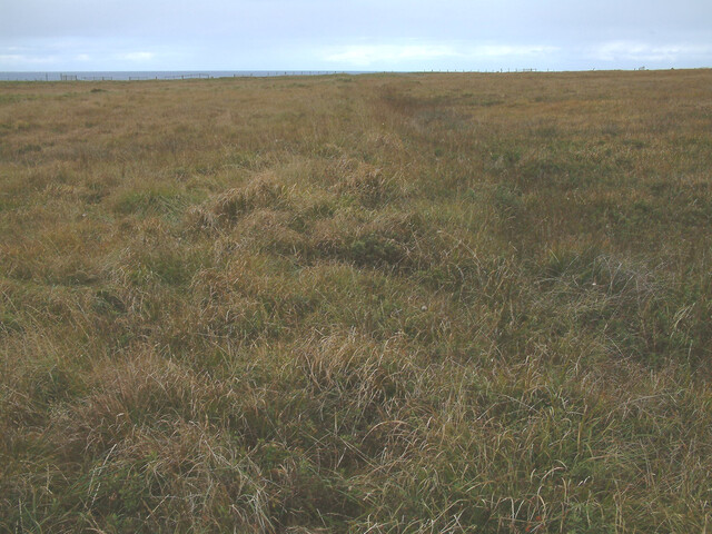 boundary7.JPG