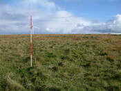 enclosure.JPG