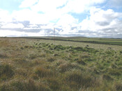 enclosure2.JPG
