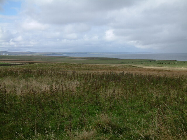 house mound.JPG