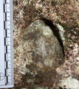 JMBriscoe_EOS450_IMG3913-07_03_2010-12_37_37.JPG