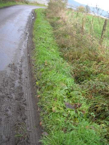 DSCN2072.JPG