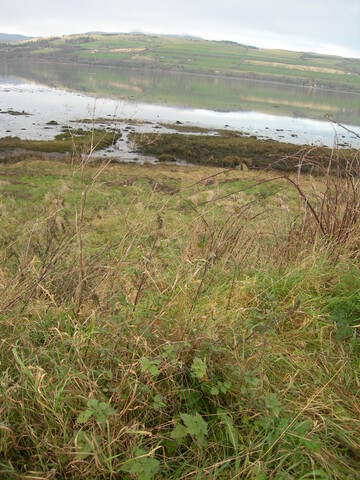 DSCN2073.JPG