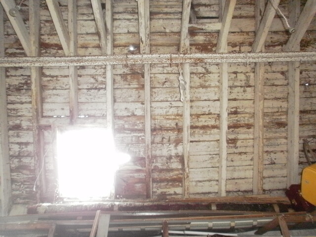skylight.JPG