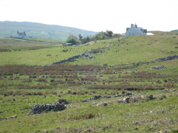 DSC01721.jpg
