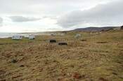 GUARD3064_Camera1_ (82).JPG