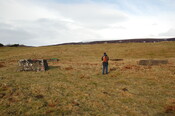GUARD3064_Camera1_ (83).JPG