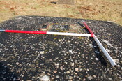 GUARD3064_Camera1_ (84).JPG