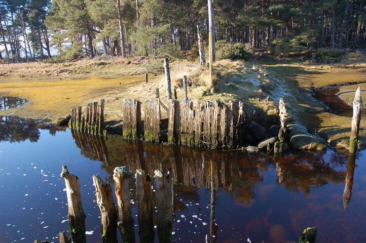 GUARD3064_Camera2_ (145).JPG