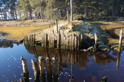 GUARD3064_Camera2_ (145).JPG