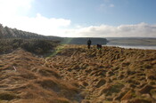 GUARD3064_Camera2_ (137).JPG