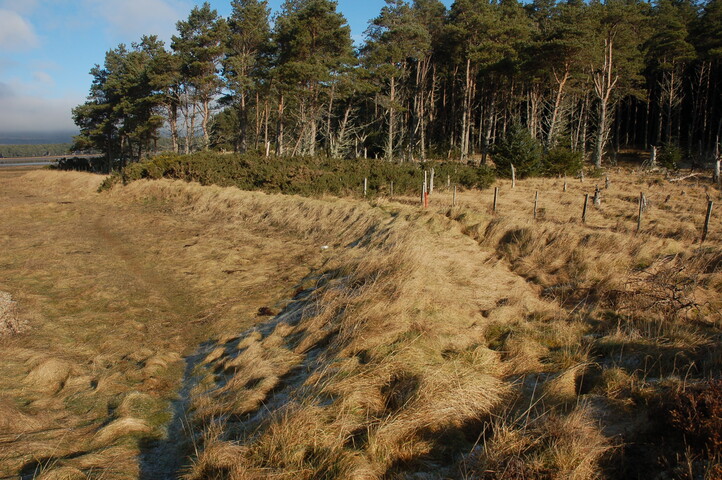 GUARD3064_Camera2_ (139).JPG