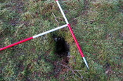 GUARD3064_Camera2_ (126).JPG