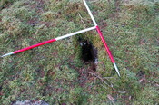 GUARD3064_Camera2_ (125).JPG