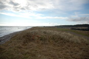 GUARD3064_Camera2_ (91).JPG