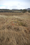 GUARD3064_Camera2_ (93).JPG